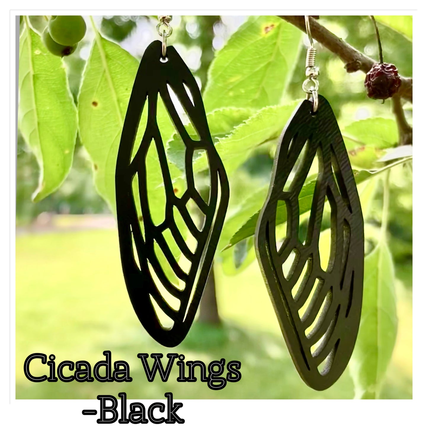 Cicada wings | Black Cut Outs
