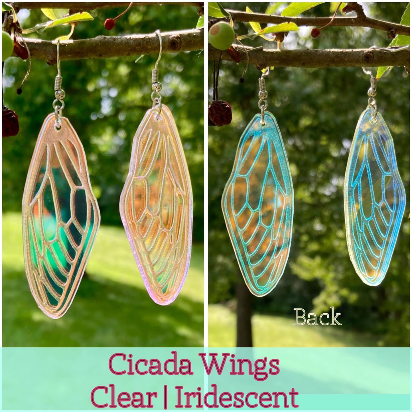Cicada Wings Iridescent