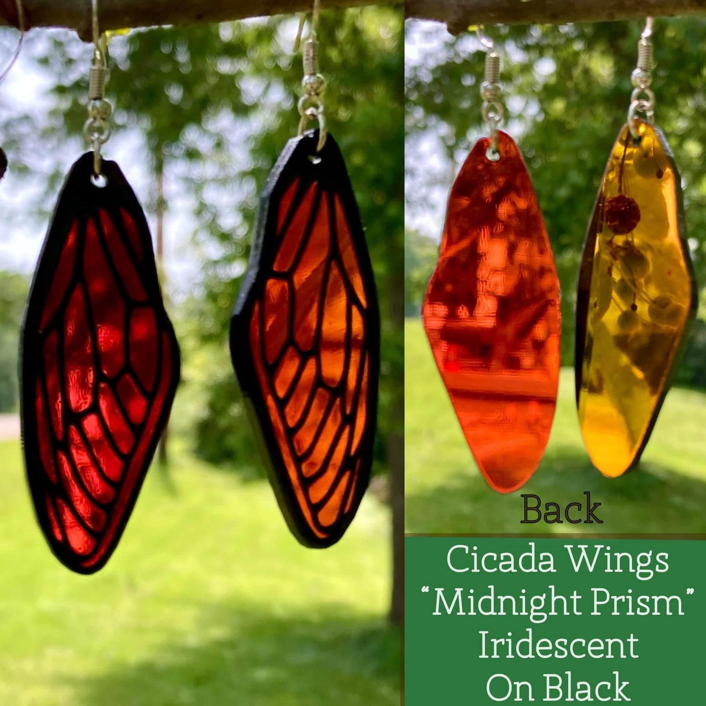 Cicada Wings | Midnight Prism